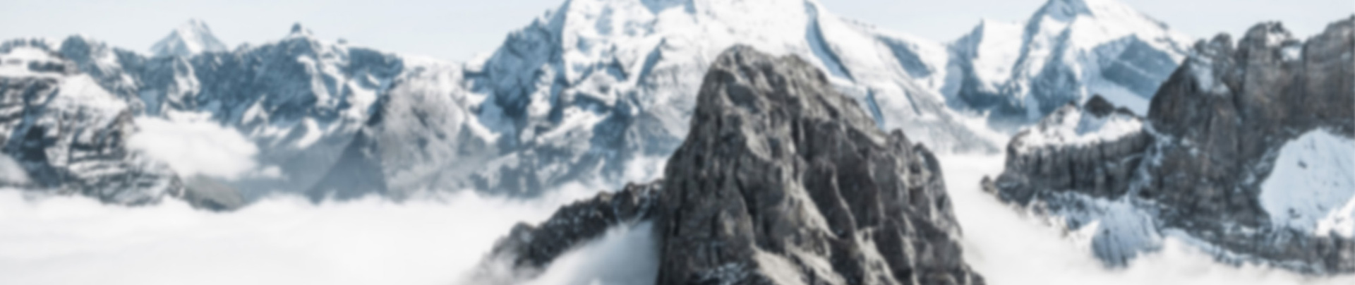 Corporate Website Thommen Medical